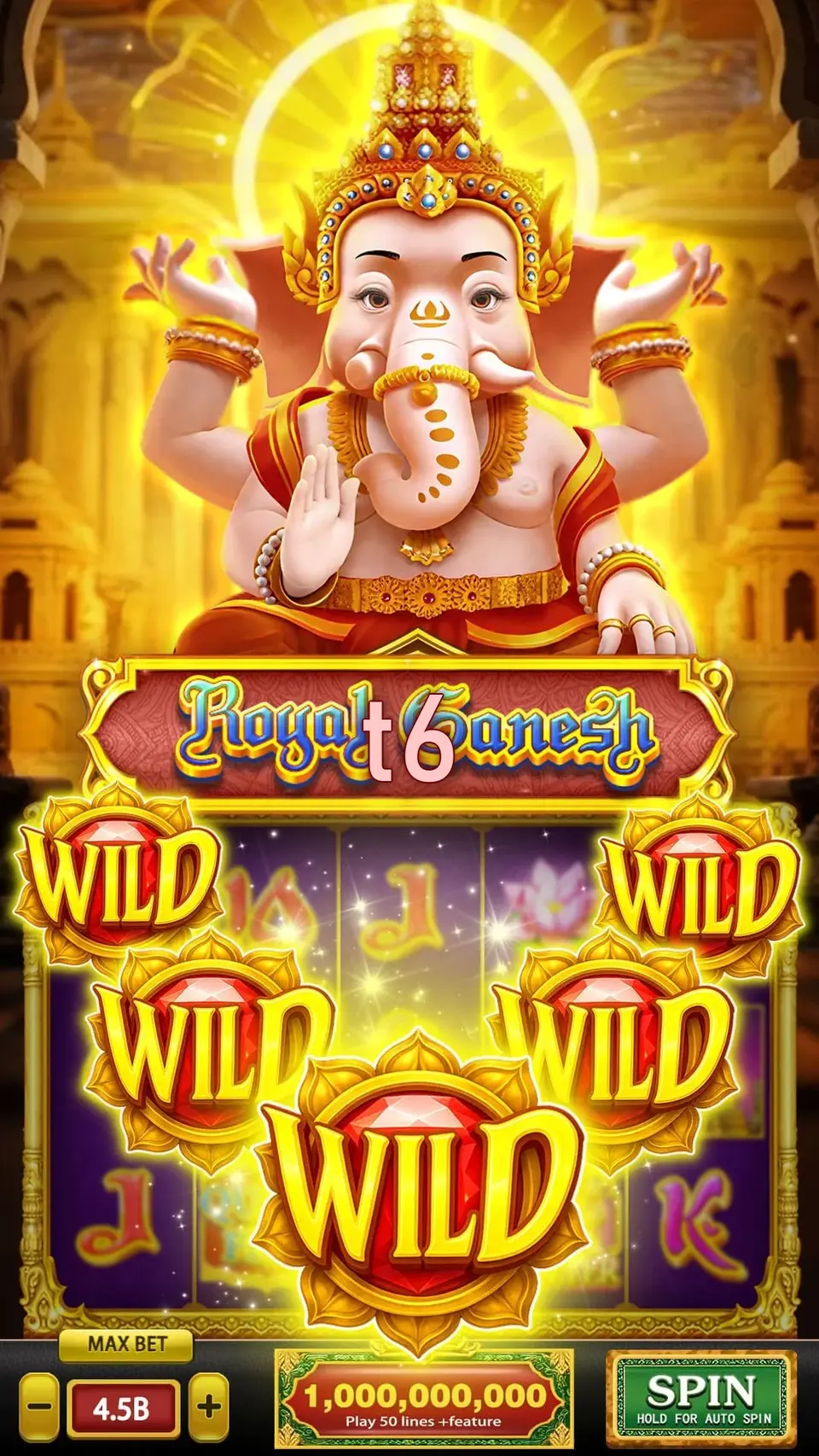 t6 APK